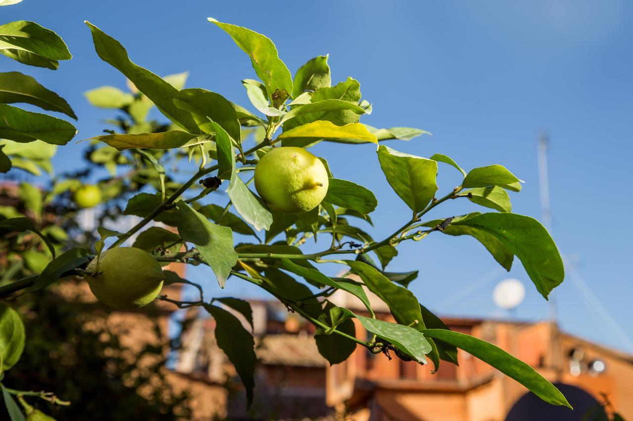 Trastevere Apartments روما المظهر الخارجي الصورة